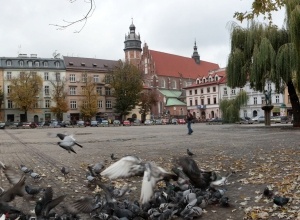 Miasta katolickie i protestanckie bogaciły się tak samo