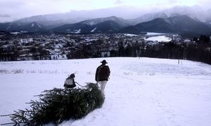 Tłoczno w Zakopanem