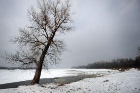 Podnosi się poziom wody