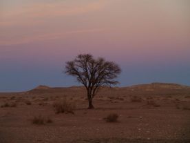 Harugi Białe i Czarne