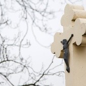 Warszawa: Wystawa zdjęć kapliczek i krzyży