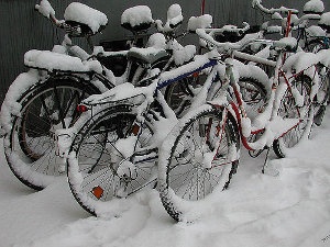 Mieszkańcy Chicago rowerami do pracy?