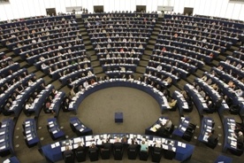 Dodatkowi europosłowie przed 1 grudnia 2010 r.