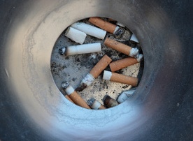 Lewica apeluje do PO 