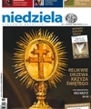 Niedziela 11/2010