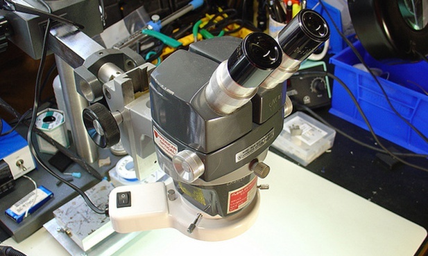 In vitro to ślepa uliczka