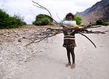 Afrykańskie cofanie