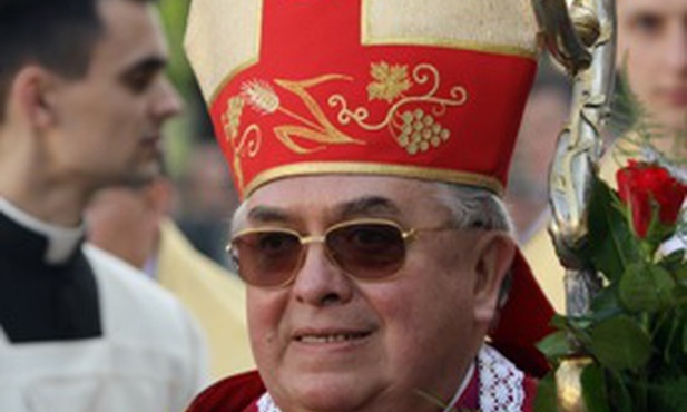 Dotykajmy korzeni