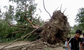 112 ofiar cyklonu w Indiach