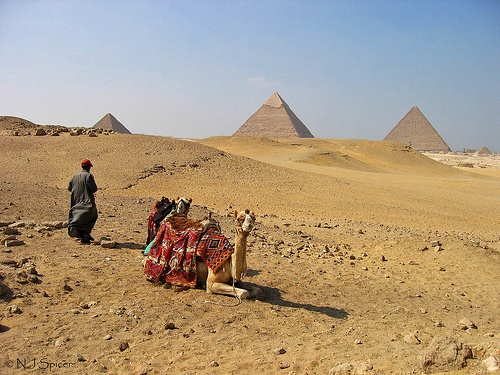Egipt: Turyści wracają pod piramidy