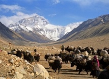 Posprzątają na Mount Everest