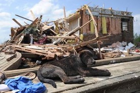 Tornado zabiło co najmniej siedem osób