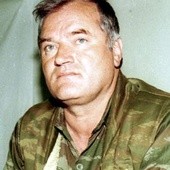 Mladić rozrabia w areszcie