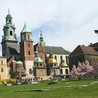 Kościół w Polsce 2010