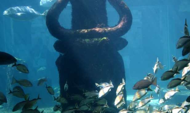 Atlantyda odnaleziona