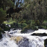 Ruwenzori