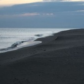 Plaże nad Morzem Czarnym mogą zniknąć w ciągu 20 lat