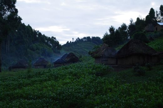 Przez Kongo c.d.