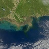 Komisję wyjaśni okoliczności zanieczyszczenia wód Zatoki Meksykańskiej