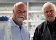 Komórki "sztucznego"...