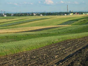 Wyceny gruntów nie są wadliwe