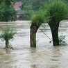 Tarnów: Rekordowa pomoc dla ofiar powodzi