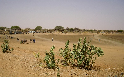 Caritas z pomocą dla uchodźców z Darfuru