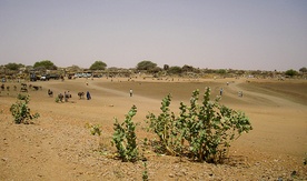 Starcia w Sudanie: w ciągu trzech dni zginęło 40 osób 