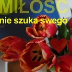 nie szuka swego