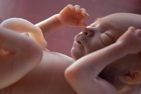 Rząd chce płacić za in vitro