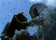 Pszczelarze na odpuście w Tuchowie