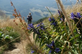 Bieszczady sprzyjają turystyce