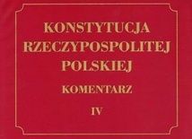 Ponad 111 tys. zł za konstytucję 