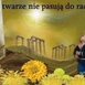 nie pasują