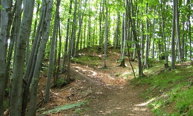 Bieszczady dla Jezusa