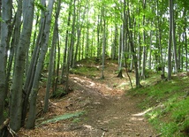 Bieszczady dla Jezusa