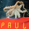 Chiny realizują film o słynnym Paulu