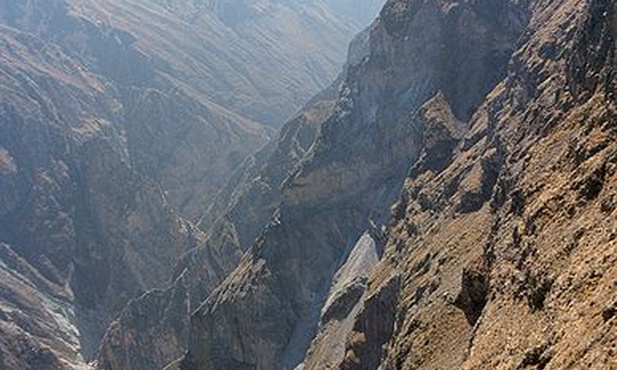 Kanion Colca w Peru