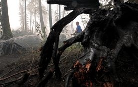 Rosja: Powierzchnia pożarów coraz mniejsza