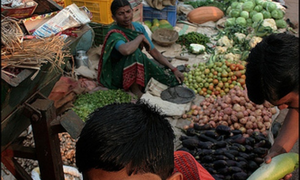 Indie, Madhya-Pradesh