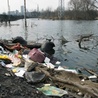 Nie będzie pokoju bez szacunku dla środowiska