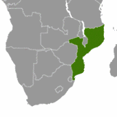 Mozambik: Chleb nie zdrożeje