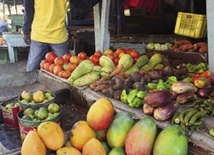 Merengue, cygara i rum