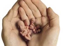 Co wiemy o in vitro?