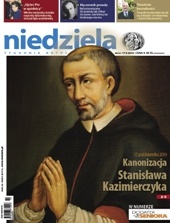 Niedziela 42/2010