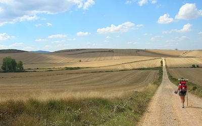 Za muszelką marsz!