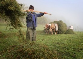 Ubezpieczenia: proste, tanie, bezpieczne