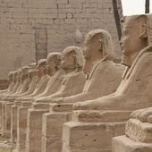 Sfinksy pod Luksorem