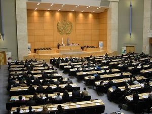 Ideologiczne zagrywki w Radzie Praw Człowieka ONZ 