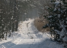 Bieszczady: Śnieg i mróz